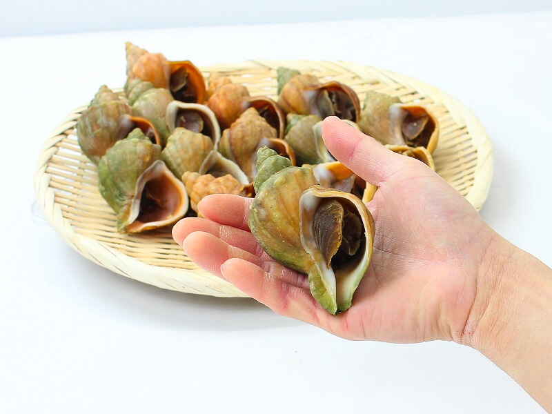 北海道産冷凍ボイル青つぶ貝1㎏（10～15玉）｜一印おさかな市場の通販